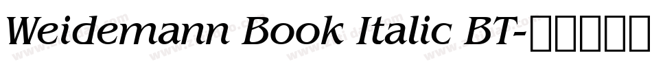 Weidemann Book Italic BT字体转换